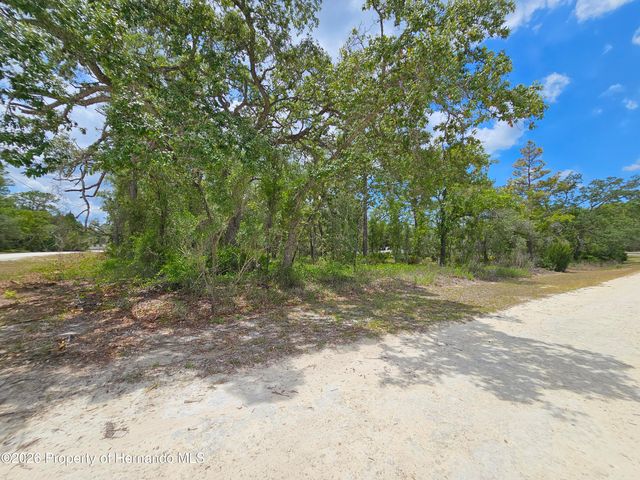 0 Song Sparrow Avenue, Weeki Wachee, FL 34614