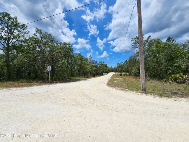 0 Song Sparrow Avenue, Weeki Wachee, FL 34614