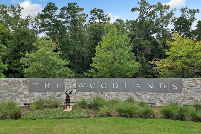 17 Oldstream Court, The Woodlands, TX 77381