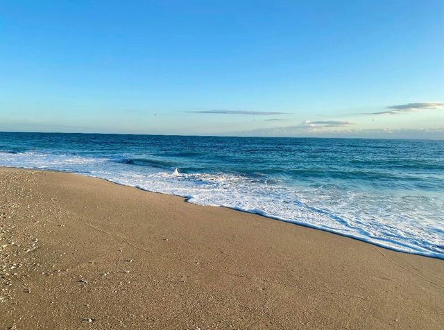 206 Osprey Preserve Boulevard, Jensen Beach, FL 34957