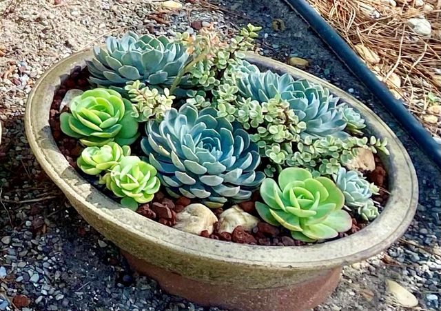 206 Osprey Preserve Boulevard, Jensen Beach, FL 34957