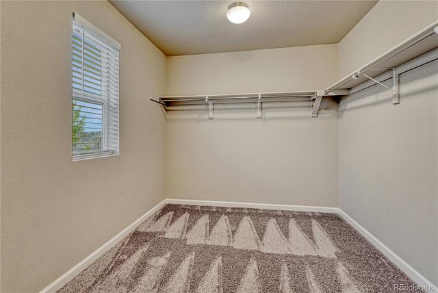 3426 Swabuck Place, Castle Rock, CO 80109