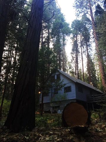 2115 Ferguson Drive, Camp Nelson, CA 93265