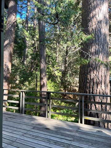 2115 Ferguson Drive, Camp Nelson, CA 93265