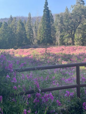 2115 Ferguson Drive, Camp Nelson, CA 93265