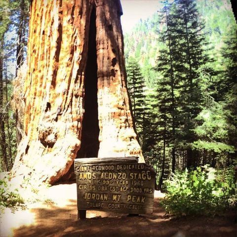 2115 Ferguson Drive, Camp Nelson, CA 93265