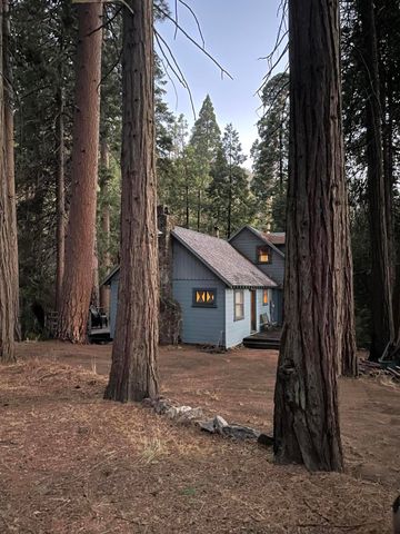 2115 Ferguson Drive, Camp Nelson, CA 93265