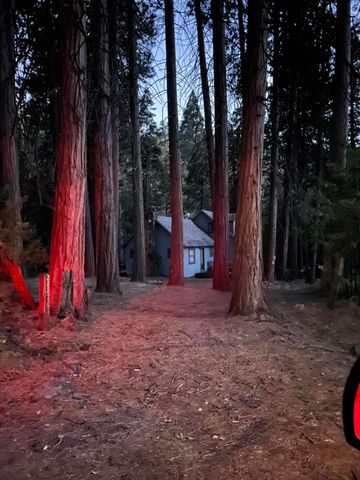 2115 Ferguson Drive, Camp Nelson, CA 93265