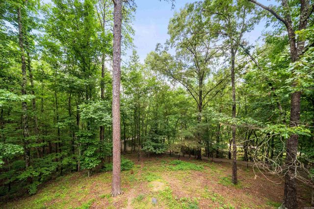 232 Alydar Trail, Hot Springs, AR 71901