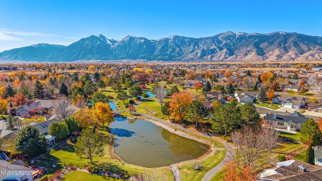 1105 Wisteria Drive, Minden, NV 89423