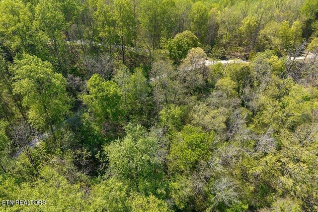 588 Austin Bottom Rd, Baxter, TN 38544
