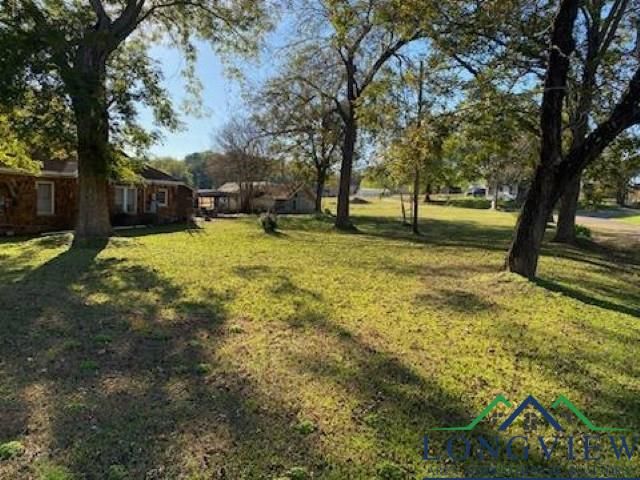 1156 Crabapple Rd, Big Sandy, TX 75755