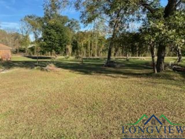 1156 Crabapple Rd, Big Sandy, TX 75755