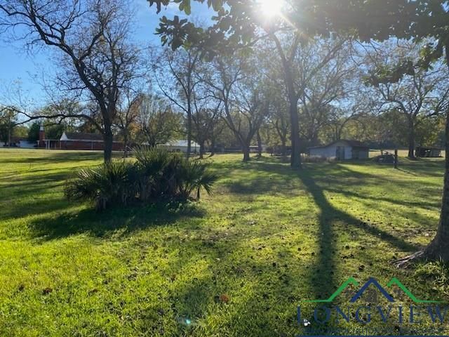 1156 Crabapple Rd, Big Sandy, TX 75755