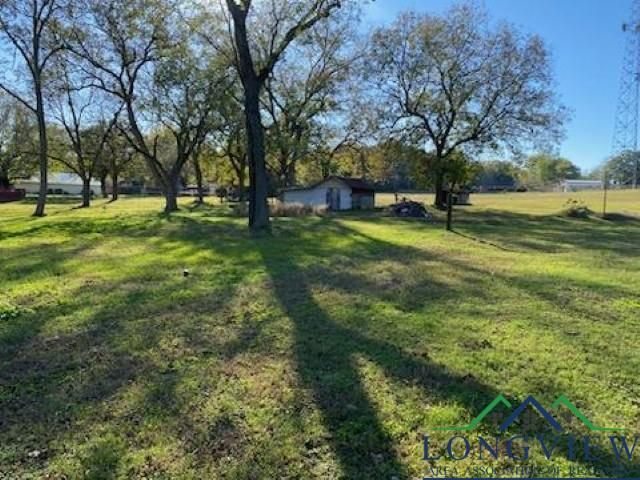 1156 Crabapple Rd, Big Sandy, TX 75755