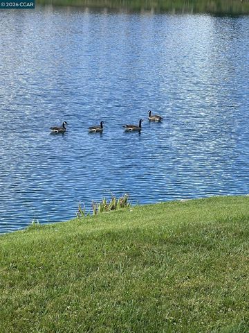 4059 W Lakeshore Dr, San Ramon, CA 94582