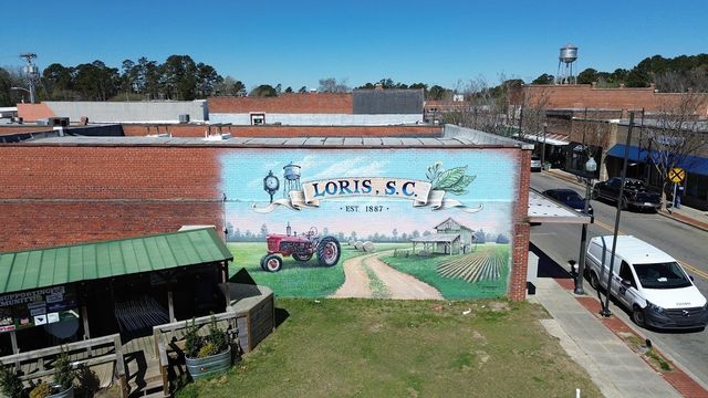914 Farmers Passage Loop, Loris, SC 29569
