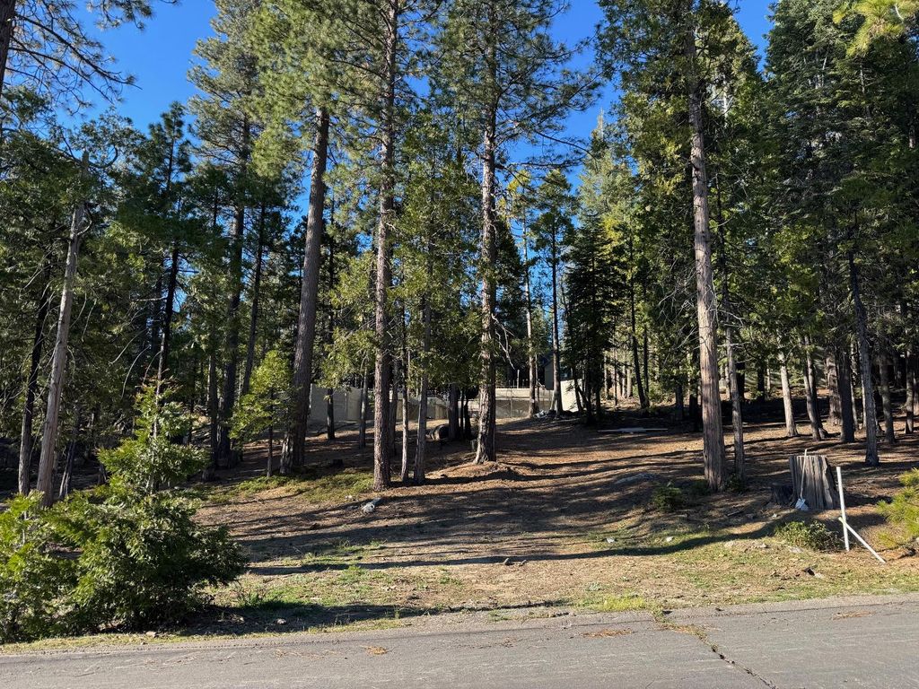Image 1 of property listing at 42521 Opal Lane, Shaver Lake, CA 93664