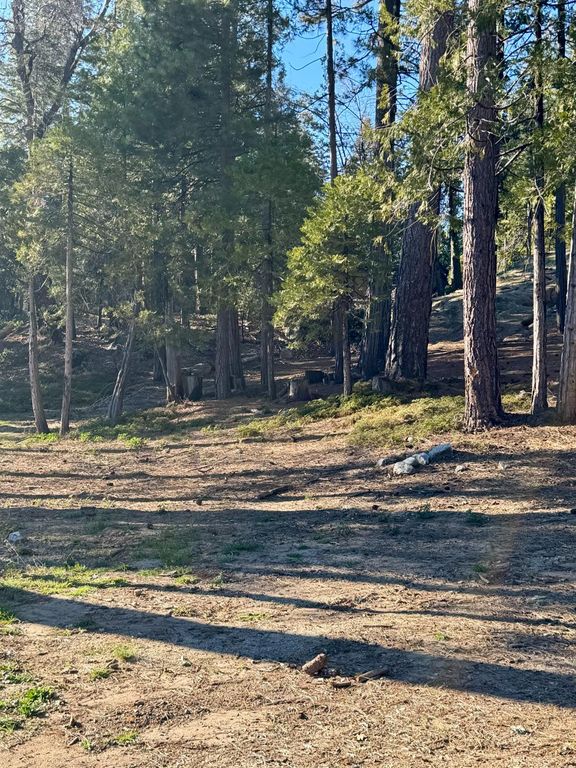 Image 2 of property listing at 42521 Opal Lane, Shaver Lake, CA 93664