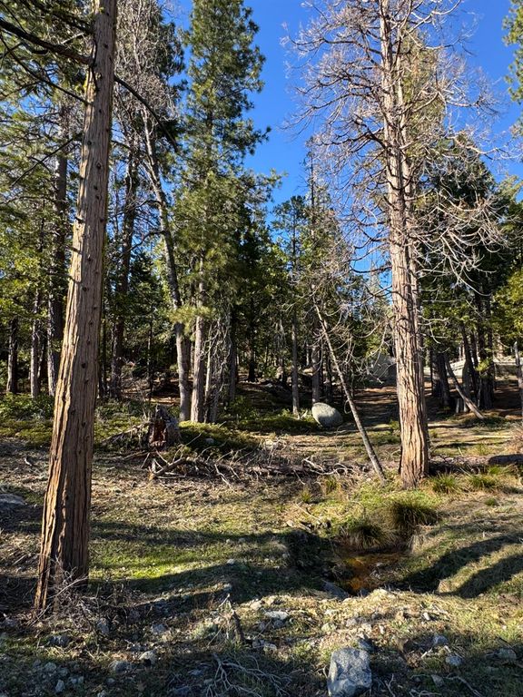Image 4 of property listing at 42521 Opal Lane, Shaver Lake, CA 93664