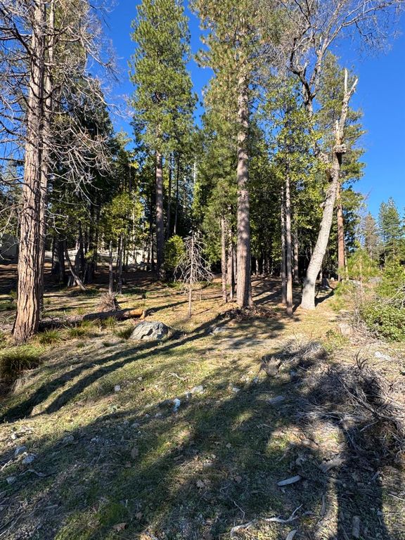 Image 5 of property listing at 42521 Opal Lane, Shaver Lake, CA 93664