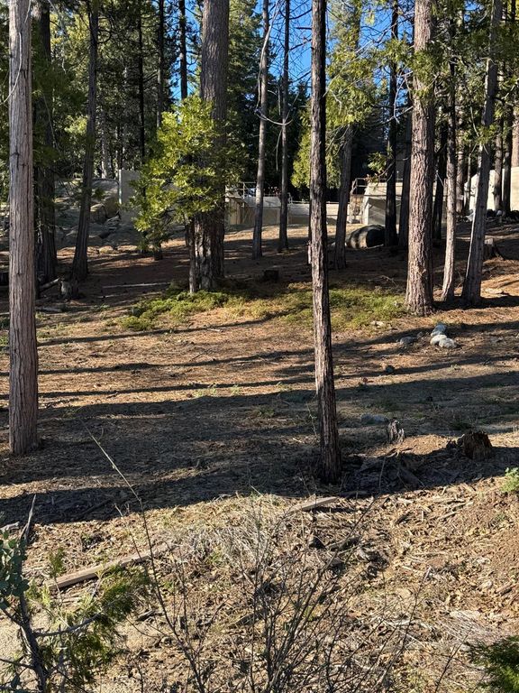 Image 6 of property listing at 42521 Opal Lane, Shaver Lake, CA 93664