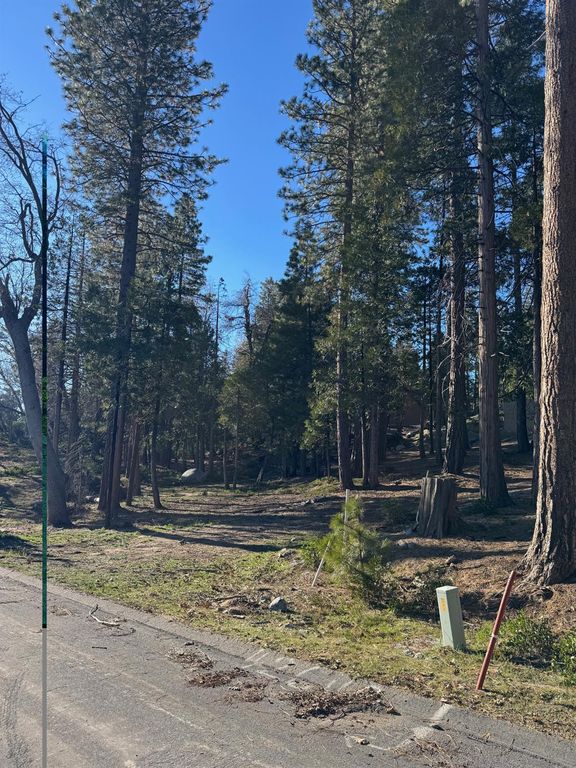 Image 7 of property listing at 42521 Opal Lane, Shaver Lake, CA 93664