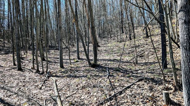 17341 County Highway M, New Auburn, WI 54757