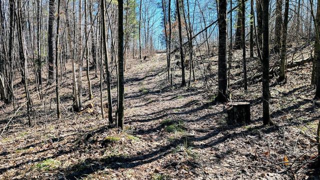 17341 County Highway M, New Auburn, WI 54757