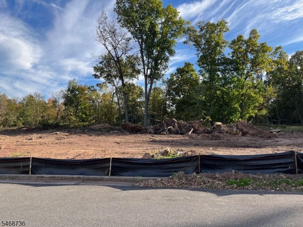 205 Charlotte Ave, South Bound Brook Boro, NJ 08880