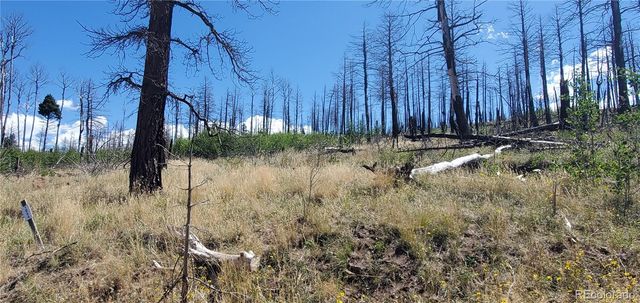 Lot 1064 Reed Lane, Fort Garland, CO 81133