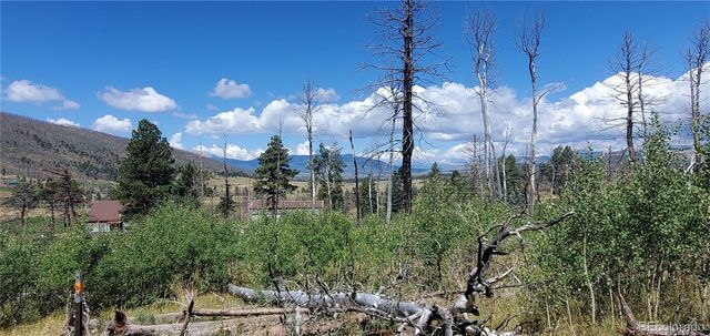 Lot 1064 Reed Lane, Fort Garland, CO 81133