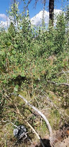 Lot 1064 Reed Lane, Fort Garland, CO 81133