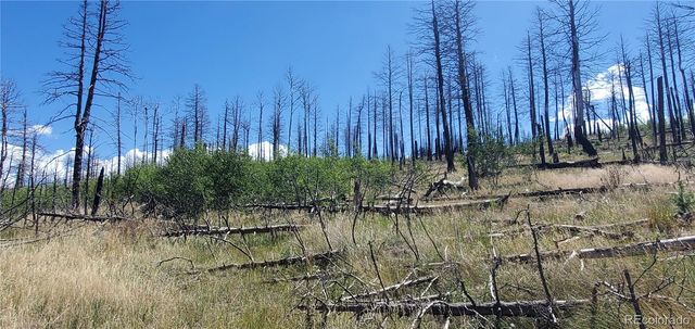 Lot 1064 Reed Lane, Fort Garland, CO 81133