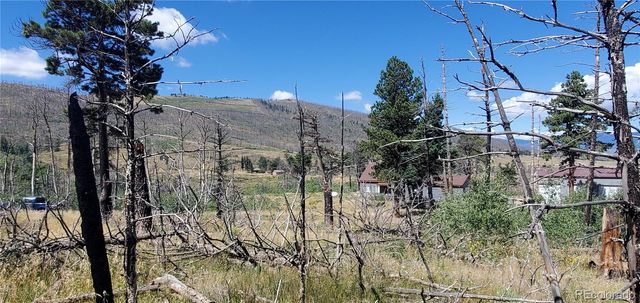 Lot 1064 Reed Lane, Fort Garland, CO 81133