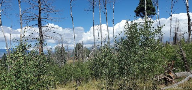 Lot 1064 Reed Lane, Fort Garland, CO 81133
