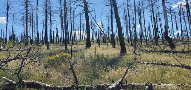 Lot 1064 Reed Lane, Fort Garland, CO 81133