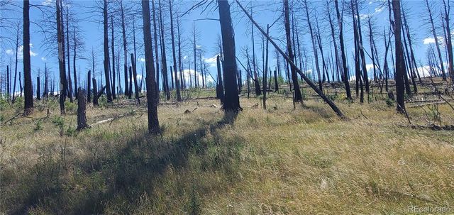 Lot 1064 Reed Lane, Fort Garland, CO 81133