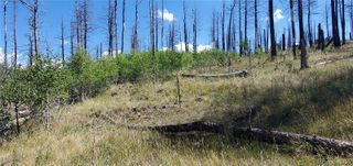 Lot 1064 Reed Lane, Fort Garland, CO 81133