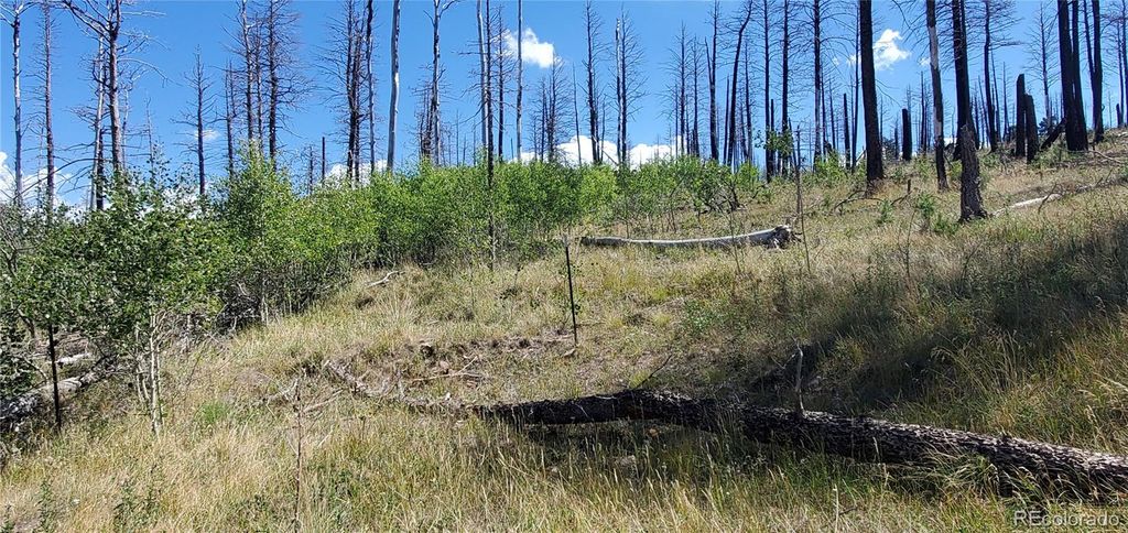 Lot 1064 Reed Lane, Fort Garland, CO 81133