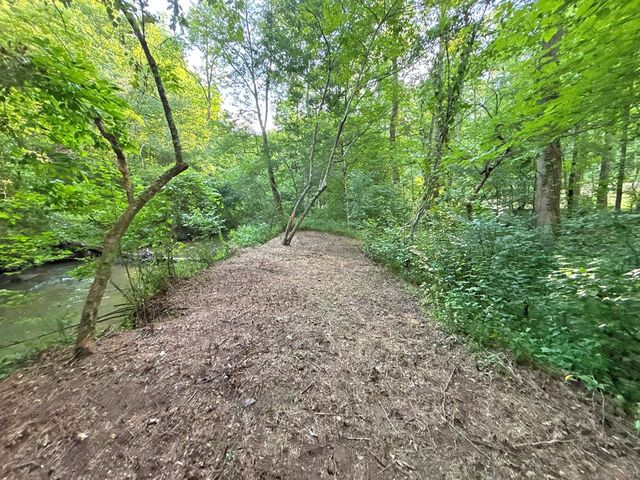 Lot 17 Mt. Springer Road, Ellijay, GA 30540