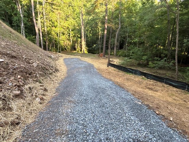 Lot 17 Mt. Springer Road, Ellijay, GA 30540