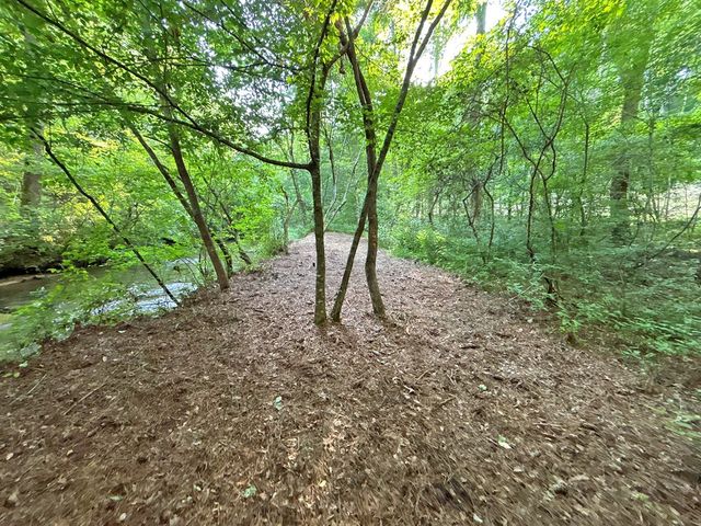Lot 17 Mt. Springer Road, Ellijay, GA 30540