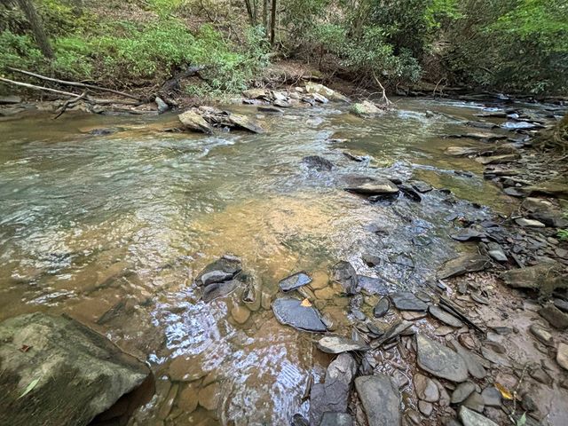 Lot 17 Mt. Springer Road, Ellijay, GA 30540