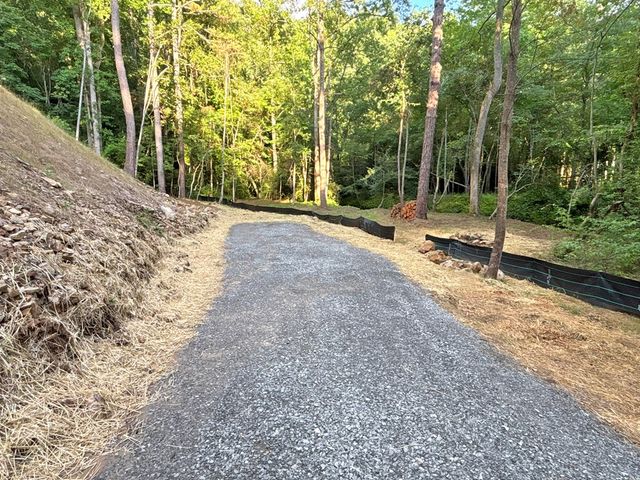 Lot 17 Mt. Springer Road, Ellijay, GA 30540