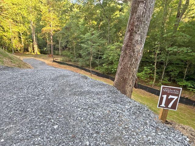 Lot 17 Mt. Springer Road, Ellijay, GA 30540