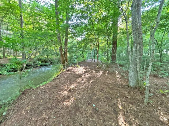 Lot 17 Mt. Springer Road, Ellijay, GA 30540