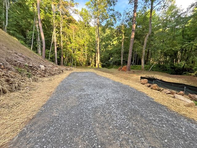 Lot 17 Mt. Springer Road, Ellijay, GA 30540