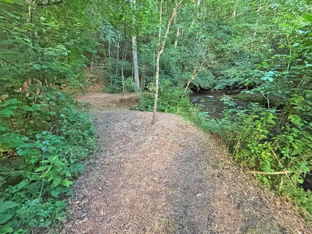 Lot 17 Mt. Springer Road, Ellijay, GA 30540