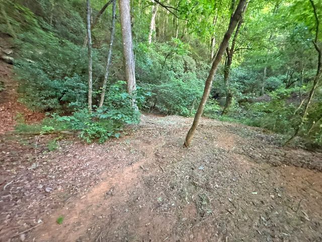Lot 17 Mt. Springer Road, Ellijay, GA 30540